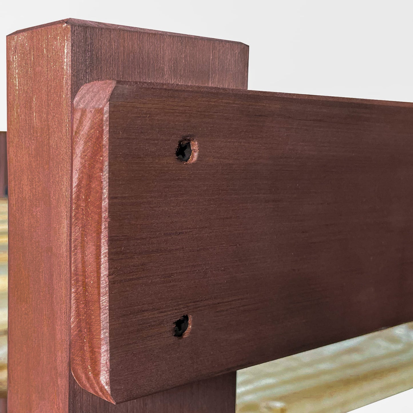 Camarote Newen Chocolate (Colchón incluido)