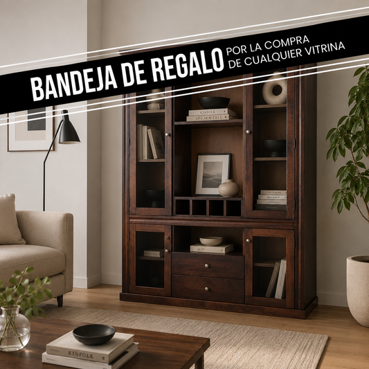 Vitrina New Gran Barcelona